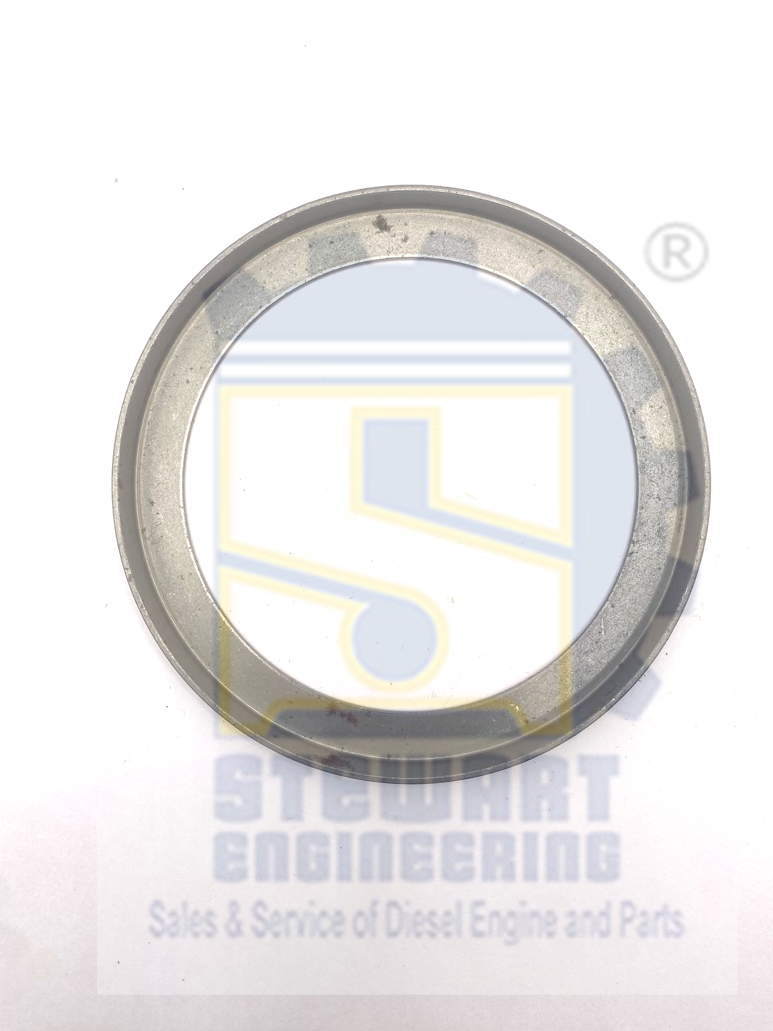 imageonline-co-brightnessadjusted (1)-overlay