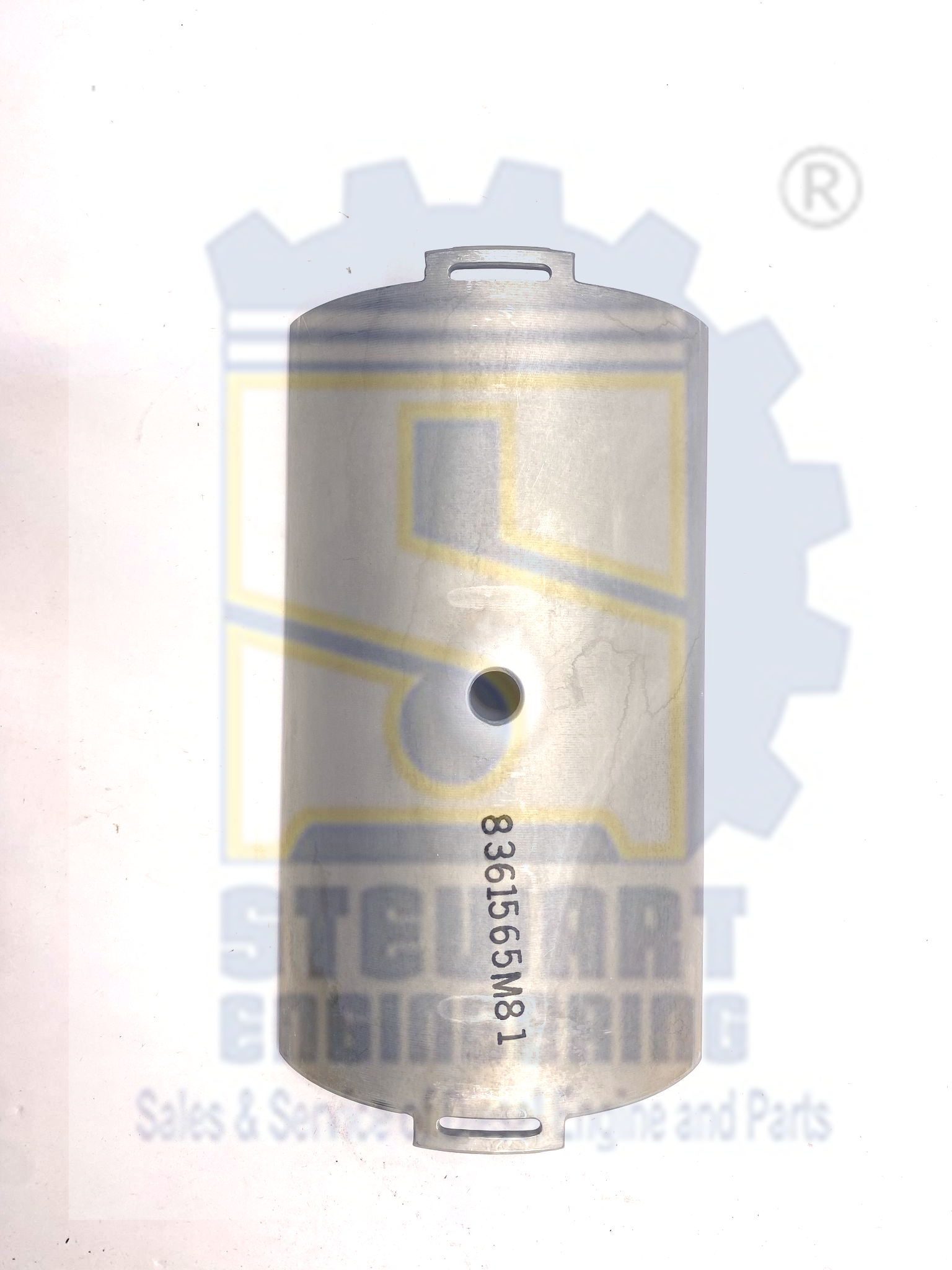 imageonline-co-brightnessadjusted (1)-overlay