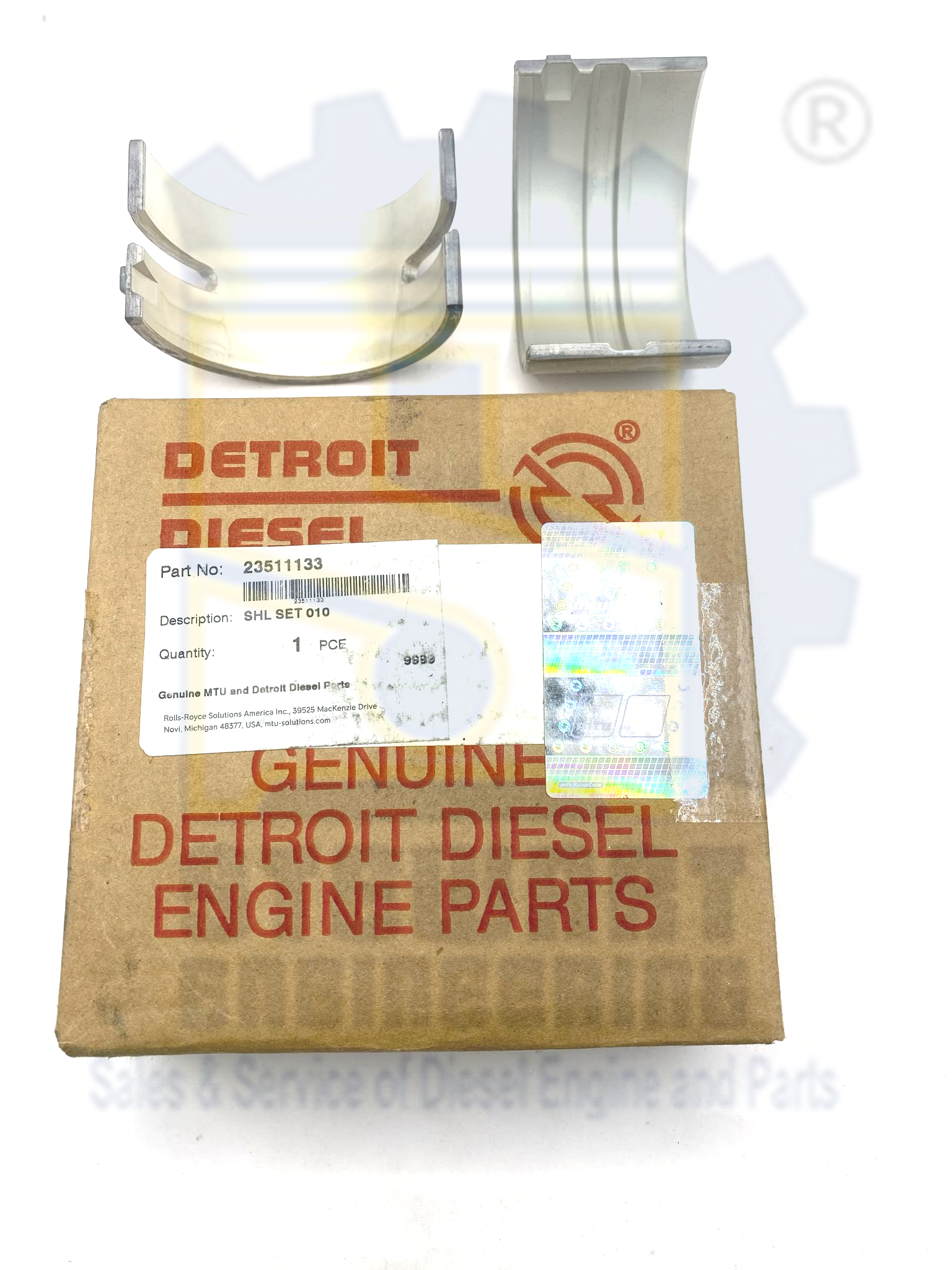 imageonline-co-brightnessadjusted-overlay