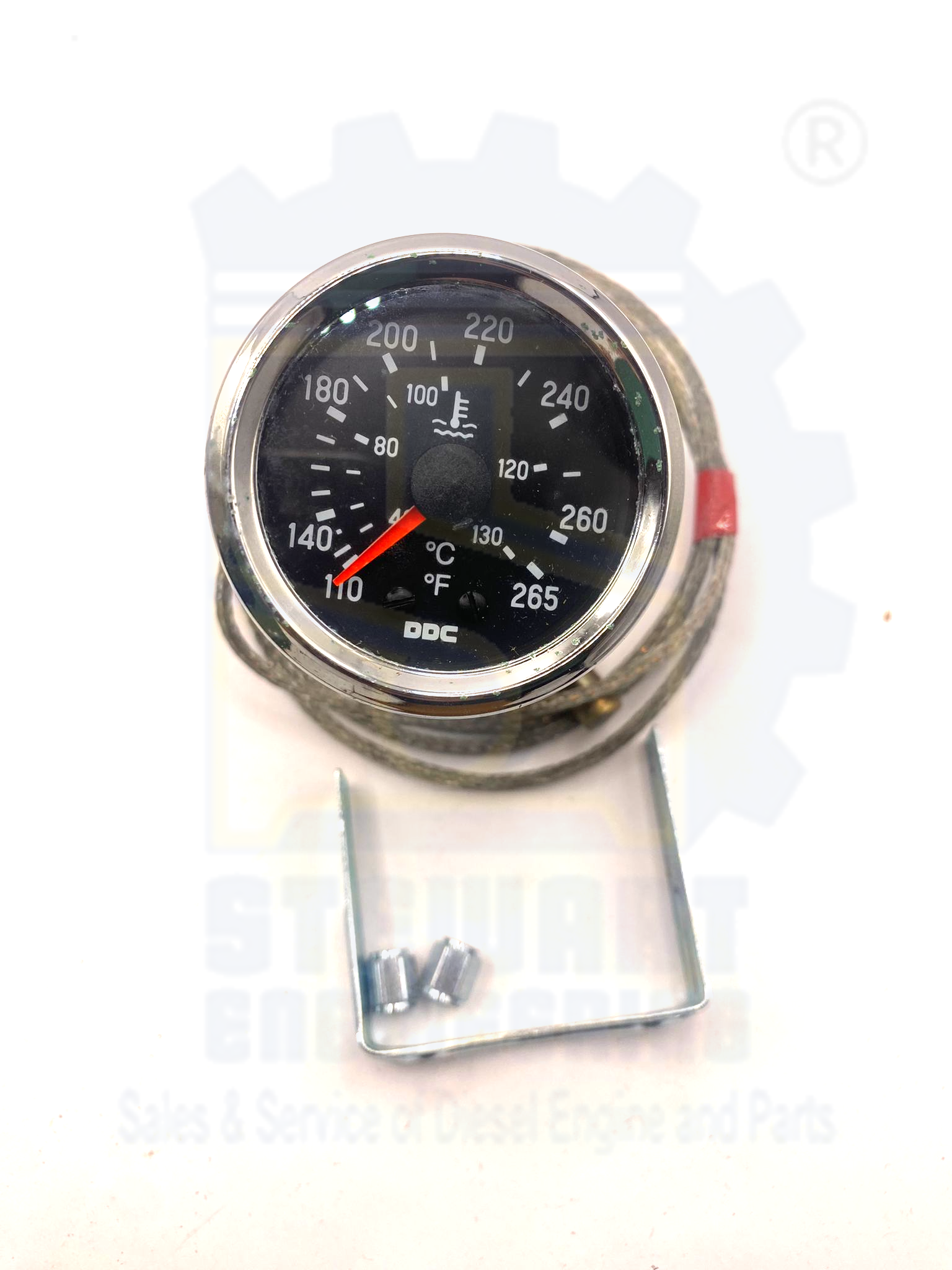 imageonline-co-brightnessadjusted (1)-overlay